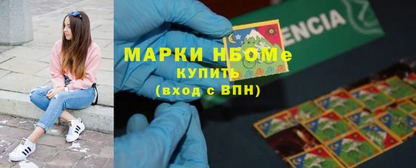 ГАЛЛЮЦИНОГЕННЫЕ ГРИБЫ Заволжье