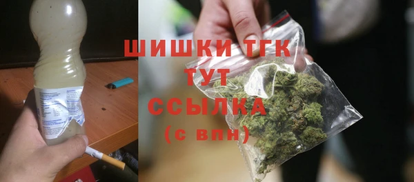 стаф Зеленодольск