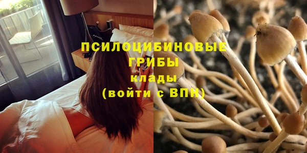 MDMA Зерноград