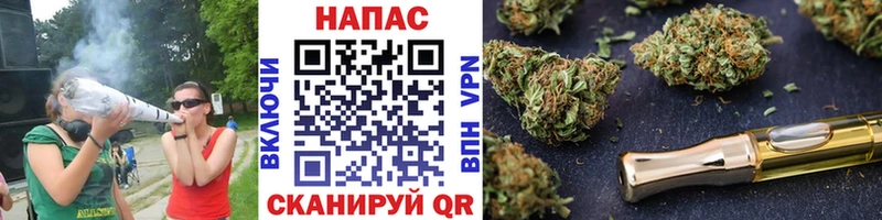 цена наркотик  Михайловск  OMG ТОР  Шишки марихуана конопля 